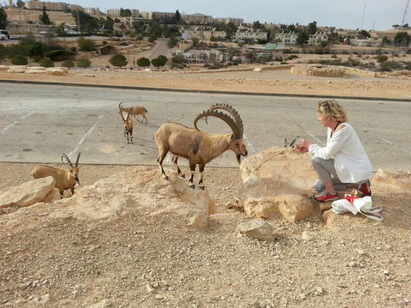 Aloni - Guest House Dead Sea Neve Zohar Exterior foto